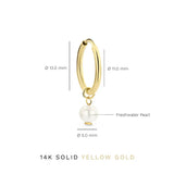 Boucles Delia blason | or